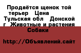 Продаётся щенок той-терьер › Цена ­ 6 000 - Тульская обл., Донской г. Животные и растения » Собаки   